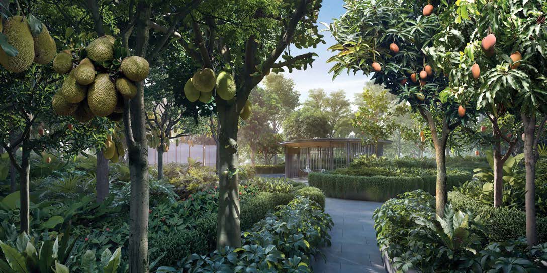 Tranquil Enclave fruit garden