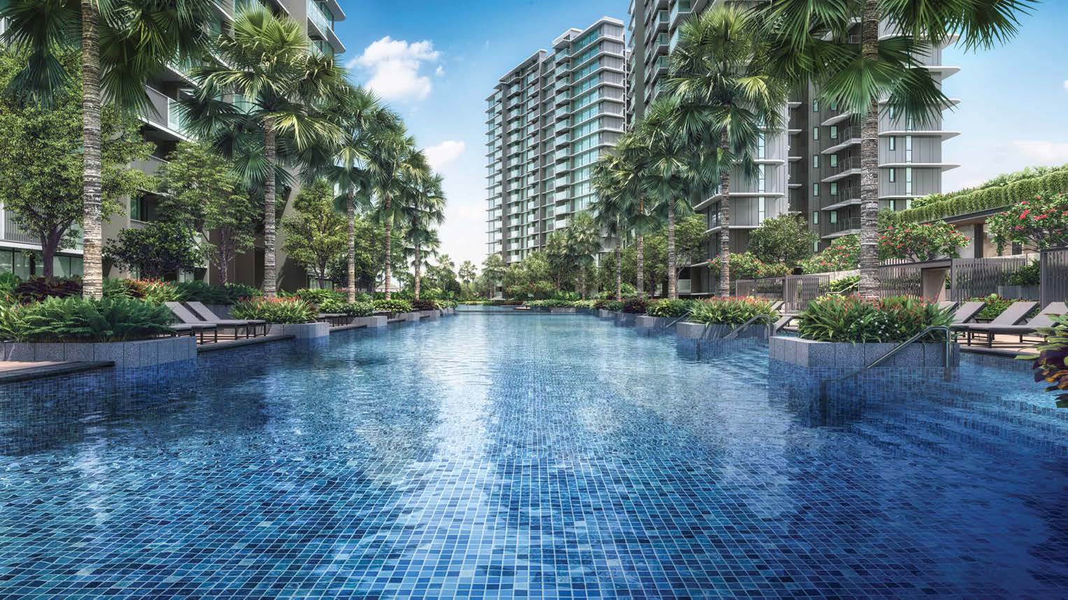 Oasis Pool